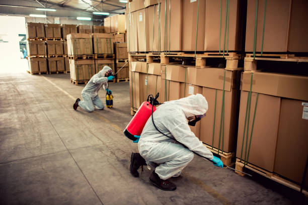 Best Pest Control for Homes  in Preston, TX