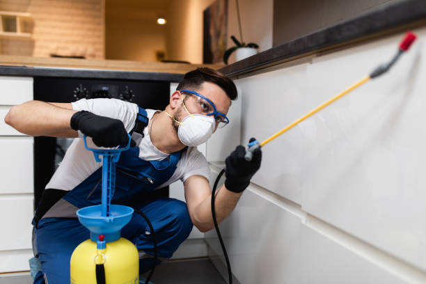 Wasp Removal Services in Preston, TX