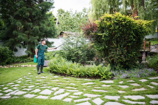 Best Local Pest Control Services  in Preston, TX