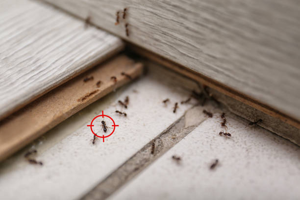 Wildlife Control Services in Preston, TX