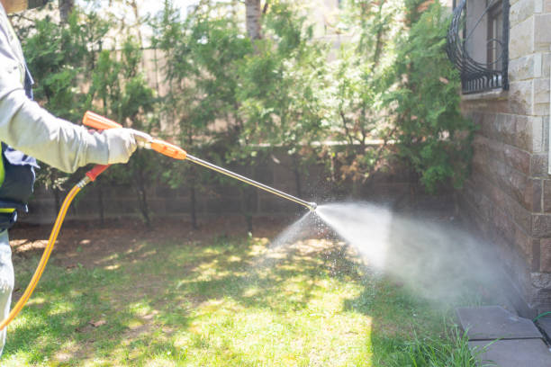 Best Best Pest Control Companies  in Preston, TX